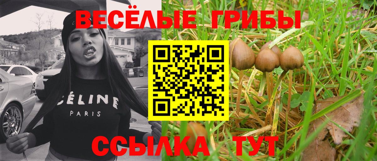 Псилоцибиновые грибы Cubensis  Вход с VPN  Острогожск 